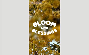 Bloom with Blessings